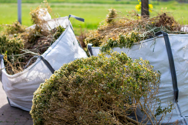 Trusted Mammoth, AZ Junk Removal Services Experts